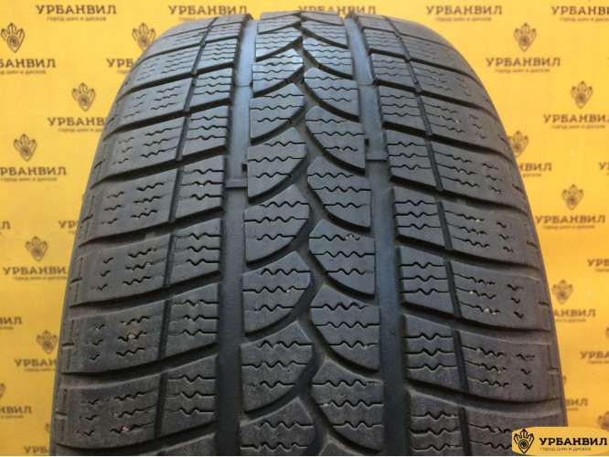 Tigar Winter 1 225/50 R17 94H